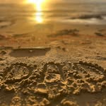 Paul Nicklin - @pomaussie2013 - Instagram