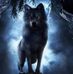 Paul Nieman - Facebook