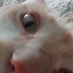 Paul Niesen - @niesenpaul - Instagram