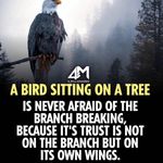Paul Nieves - @nieves00789 - Instagram