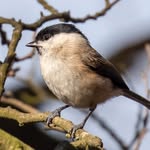 Paul Nobbs - @paul.nobbs - Instagram