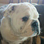 Paul - @paul.nolin - Instagram