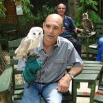 Paul Noon - @paulnoon60 - Instagram