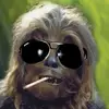 paulnotareschi - @paulnotareschi - TikTok