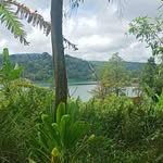 Paul Novel Mandagi - @paulmandagi - Instagram