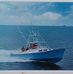 Paul Novicki - Facebook