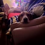 Paul Nowacki - @pn_nn22 - Instagram