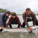 Paul Nowell - @paul.nowell123 - Instagram