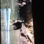 Paul nowell - @cornishpaddleboarding69 - Instagram