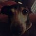 Paul Nowlin - Facebook