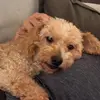 Paula - @paularnoya - TikTok