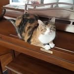 Paula Fenuccio - @fenucciopaula - Instagram