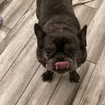 Paul Nunn - @paul.nunn.92754 - Instagram