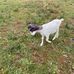 Paul Nunn - Facebook