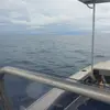 Paul Nunn - @paul.nunn7 - TikTok