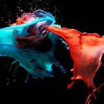 Paul Nußbaum - @dublidoo2503 - Instagram
