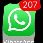 @Paul - @paulnusser - Instagram