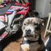 Paul Nutty - Facebook