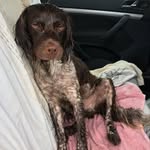 Paul Nutting - @paulnutts - Instagram