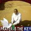 paulnyamweya95 - @paulnyamweya95 - TikTok