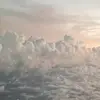 paulnyberg - @paulnyberg - TikTok
