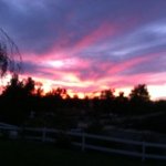 Paul Nystrom - @paupual - Instagram