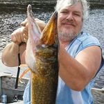 Paul Nystrom - @nystrompaul - Instagram