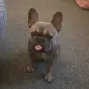 pauloakes48 - @pokes1064 - TikTok