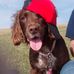 Paul Oakley - Facebook
