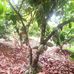 Paul Obeng - Facebook