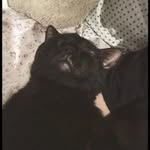 Paulo Roberto - @paulobertasius - Instagram