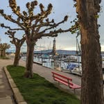 Paulo Bierbaum - @paulo.bier567 - Instagram