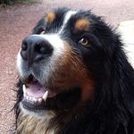 Paulo.bst - @paulo.bst8 - Instagram