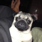 @paulodland - Instagram