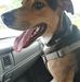 Paul Odom - Facebook