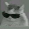 Paulo dump - @paulodump - TikTok
