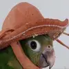 Paul Oehlert - @pauloehlert_ - TikTok