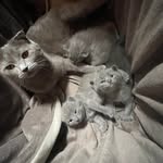 Paul von Oehler - @pauloehler - Instagram