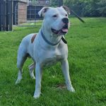 Paul Officer - @paul.officer - Instagram