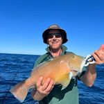 Paul Officer - @officer5573 - Instagram
