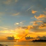 Paul Ogle - @paulwogle - Instagram