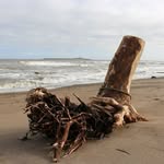 Paul Ogle - @paul_ogle_photography - Instagram
