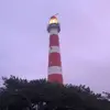 pauloldenburg493 - @pauloldenburg493 - TikTok