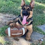 Paul Olvera - @olvera_paul - Instagram