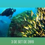 Paulo R Siminski - @paulorsiminski - Instagram