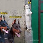 Paulo Roberto Mariano Da Silva - @paulo.r.silva.1865 - Instagram