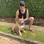 Paulo Silveira - @paulorsilveira_ - Instagram