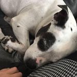 Paul Orton - @paulshelle.ortonberry - Instagram