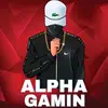 ALPHA GAMING - @paulosunde - TikTok