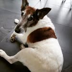Hugo Paul Osmond - @hugopaulosmond - Instagram